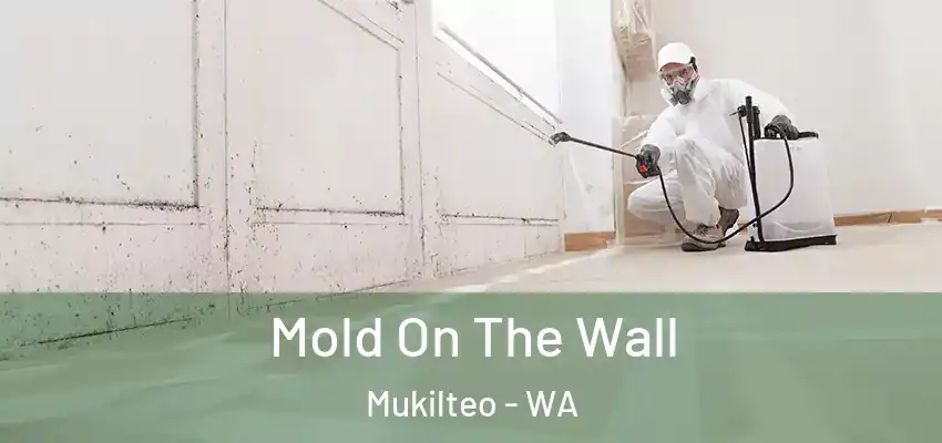  Mold On The Wall Mukilteo - WA
