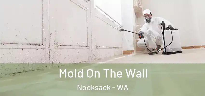  Mold On The Wall Nooksack - WA