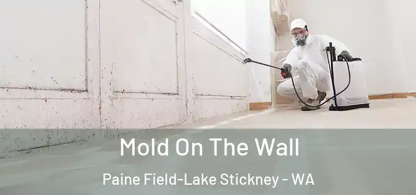  Mold On The Wall Paine Field-Lake Stickney - WA