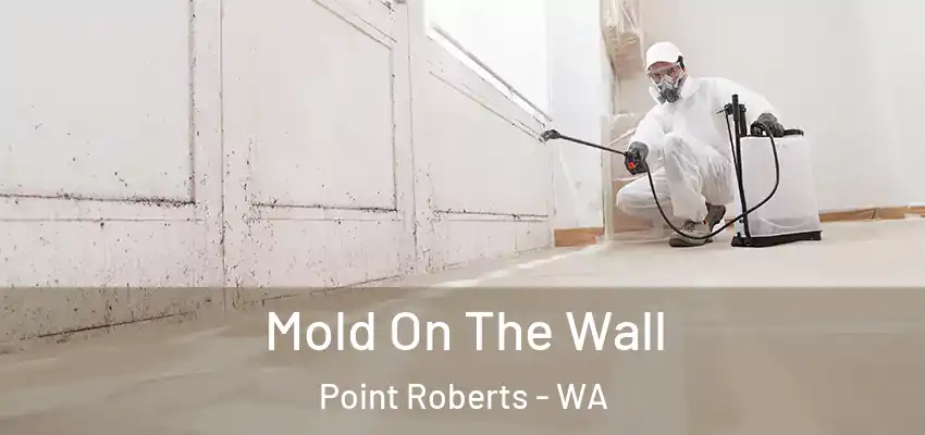  Mold On The Wall Point Roberts - WA