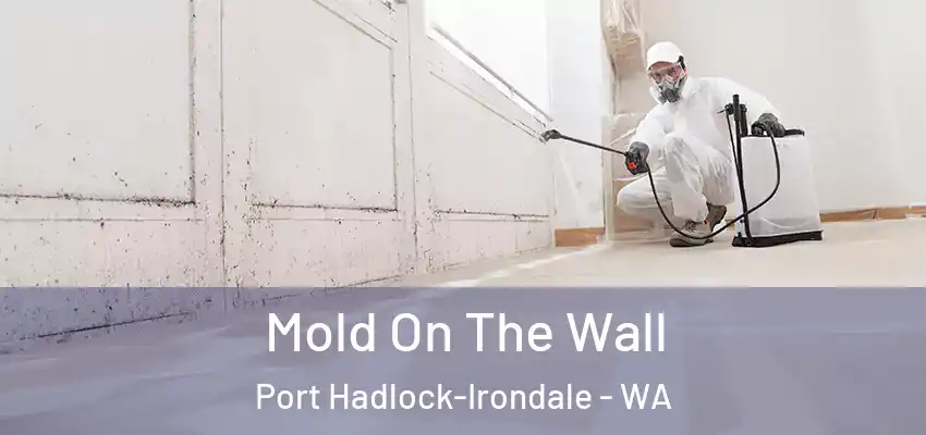 Mold On The Wall Port Hadlock-Irondale - WA