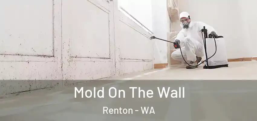  Mold On The Wall Renton - WA