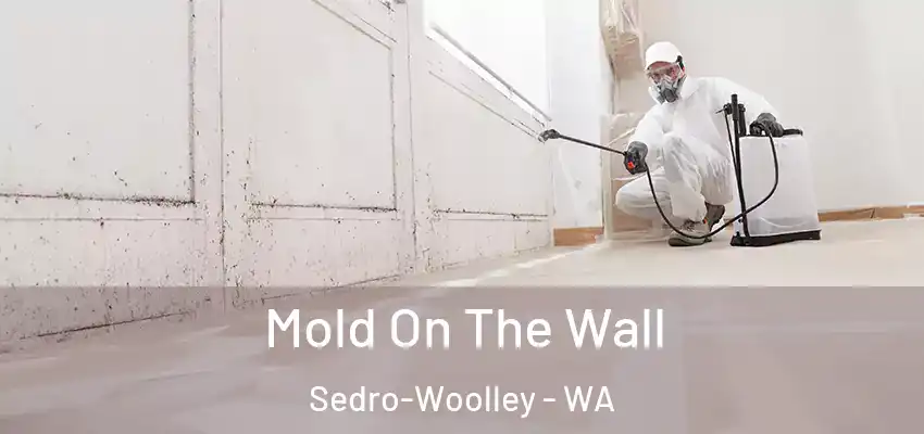 Mold On The Wall Sedro-Woolley - WA