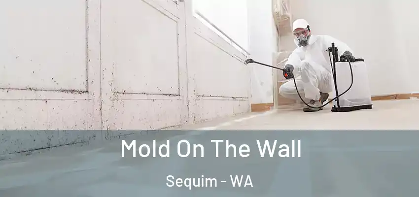 Mold On The Wall Sequim - WA