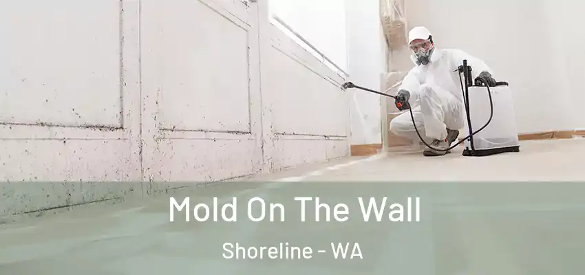 Mold On The Wall Shoreline - WA