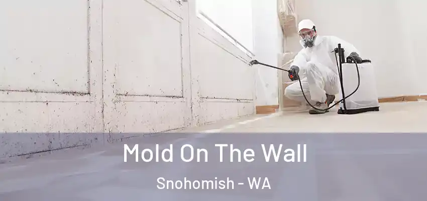 Mold On The Wall Snohomish - WA
