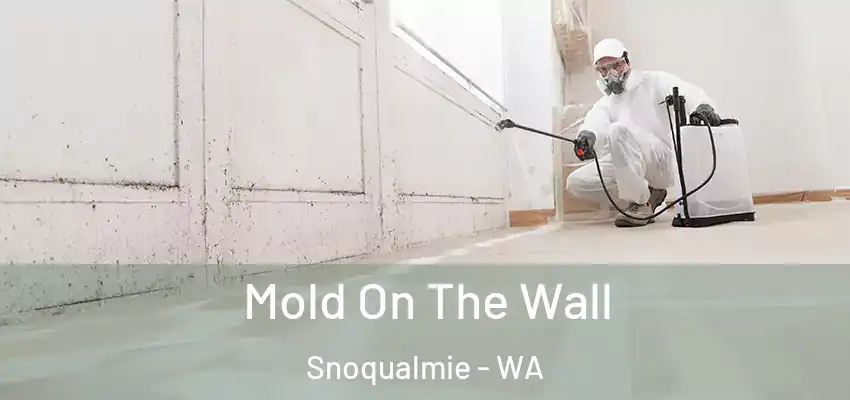  Mold On The Wall Snoqualmie - WA