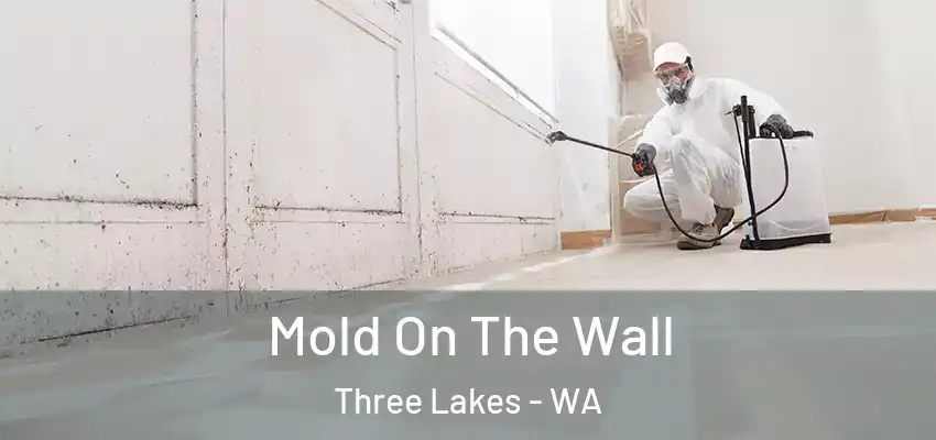  Mold On The Wall Three Lakes - WA