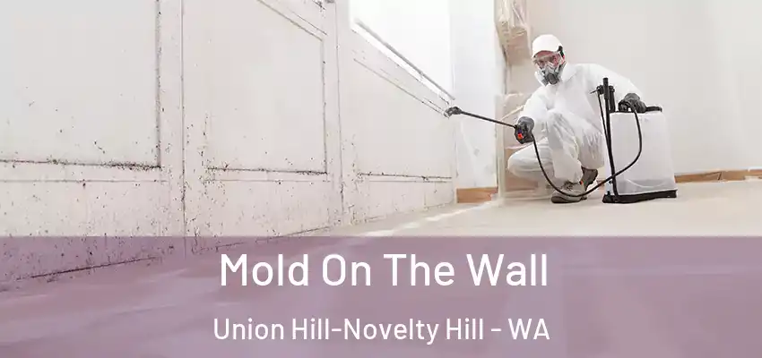  Mold On The Wall Union Hill-Novelty Hill - WA