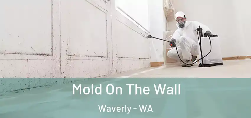  Mold On The Wall Waverly - WA