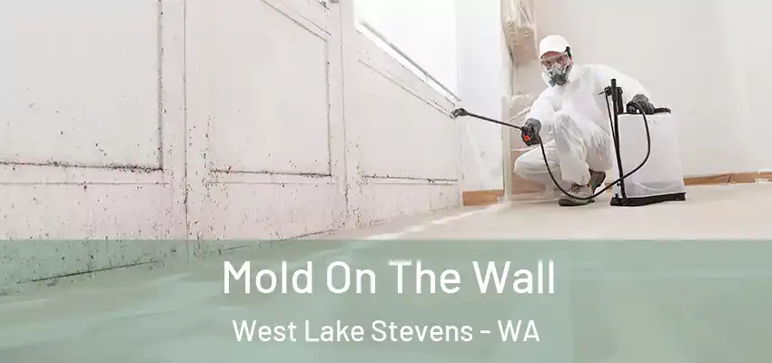  Mold On The Wall West Lake Stevens - WA
