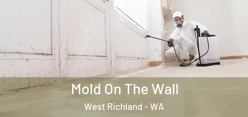  Mold On The Wall West Richland - WA