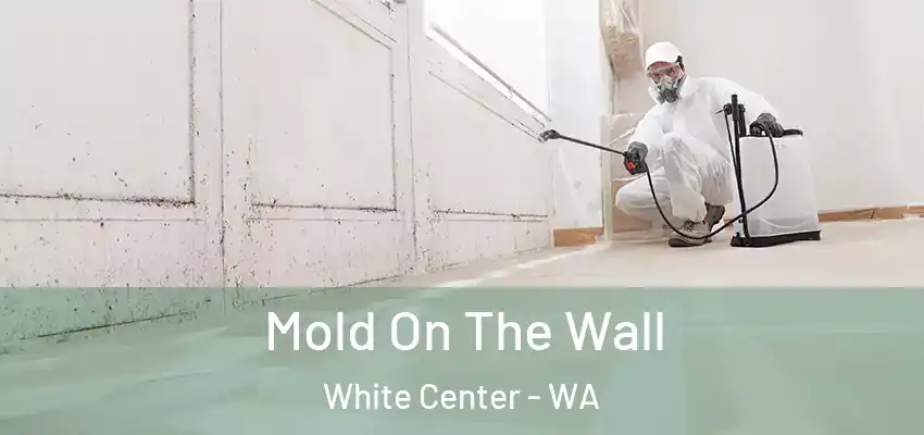  Mold On The Wall White Center - WA
