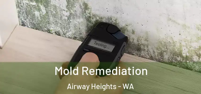  Mold Remediation Airway Heights - WA
