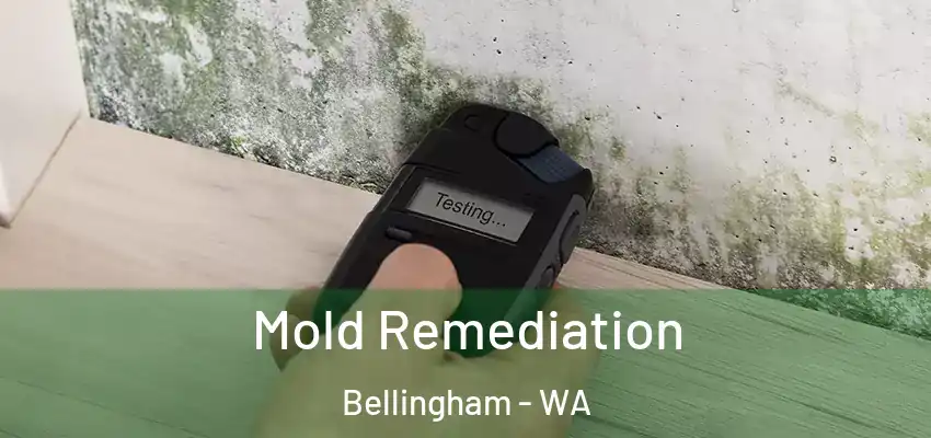  Mold Remediation Bellingham - WA