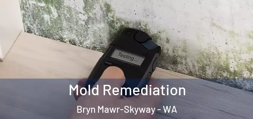  Mold Remediation Bryn Mawr-Skyway - WA