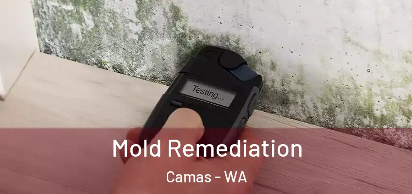  Mold Remediation Camas - WA