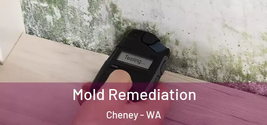  Mold Remediation Cheney - WA
