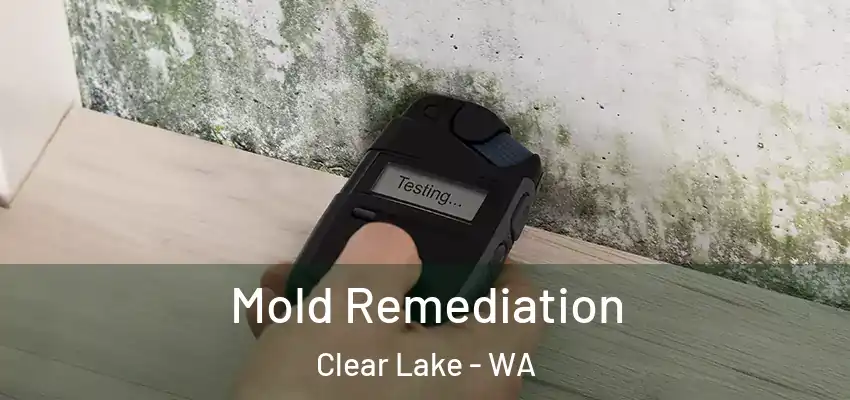 Mold Remediation Clear Lake - WA