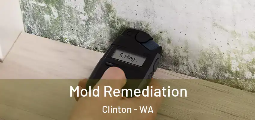  Mold Remediation Clinton - WA
