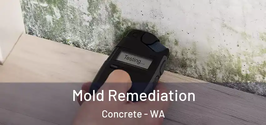  Mold Remediation Concrete - WA