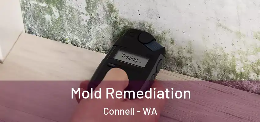  Mold Remediation Connell - WA