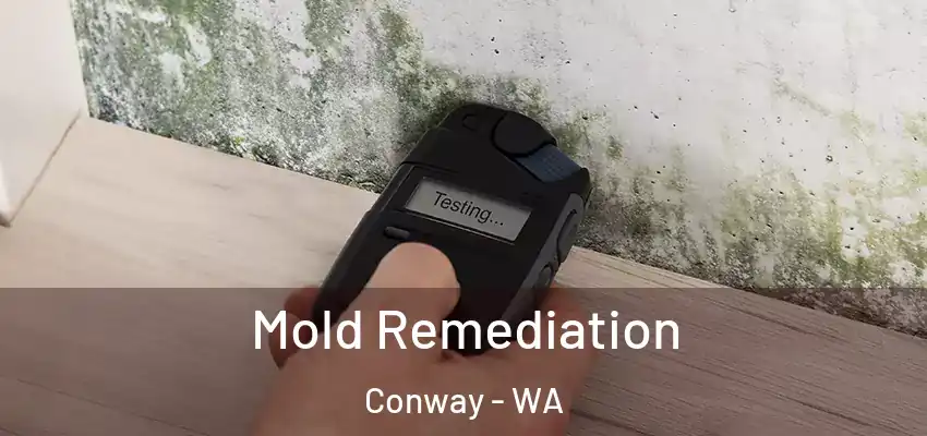  Mold Remediation Conway - WA