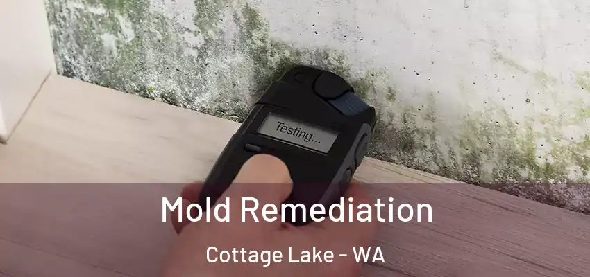 Mold Remediation Cottage Lake - WA