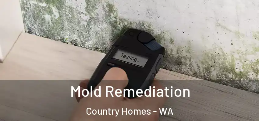  Mold Remediation Country Homes - WA