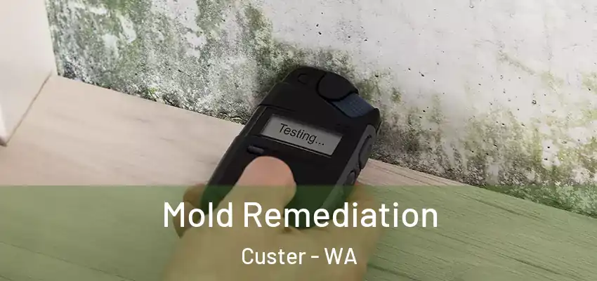  Mold Remediation Custer - WA