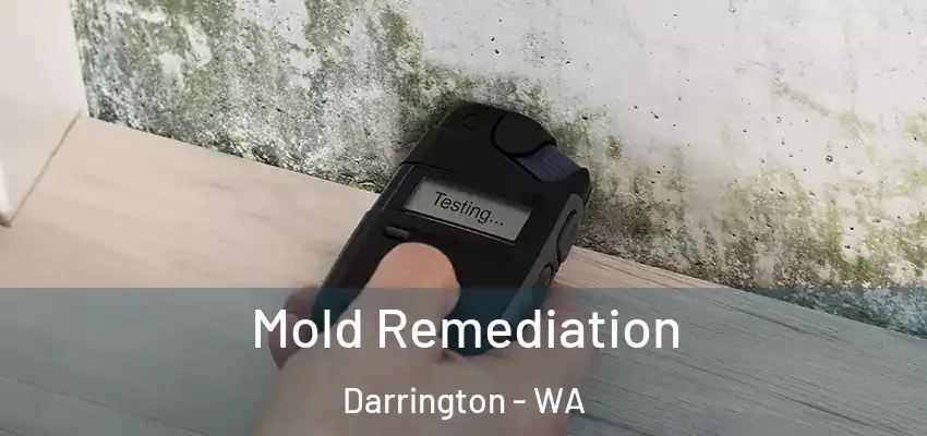  Mold Remediation Darrington - WA