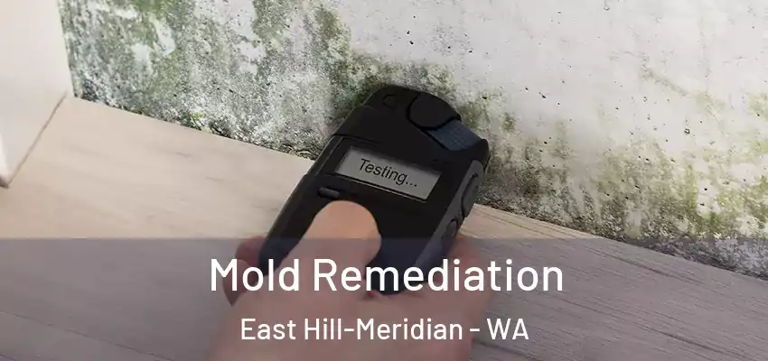  Mold Remediation East Hill-Meridian - WA