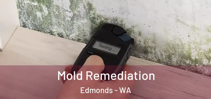  Mold Remediation Edmonds - WA