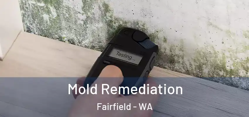  Mold Remediation Fairfield - WA