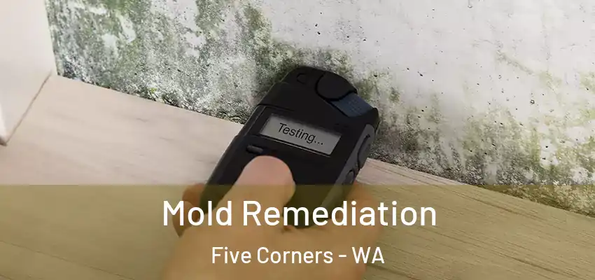  Mold Remediation Five Corners - WA