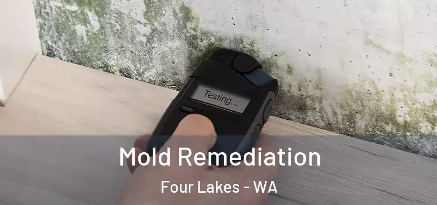  Mold Remediation Four Lakes - WA