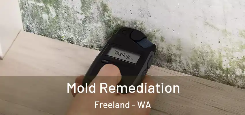  Mold Remediation Freeland - WA