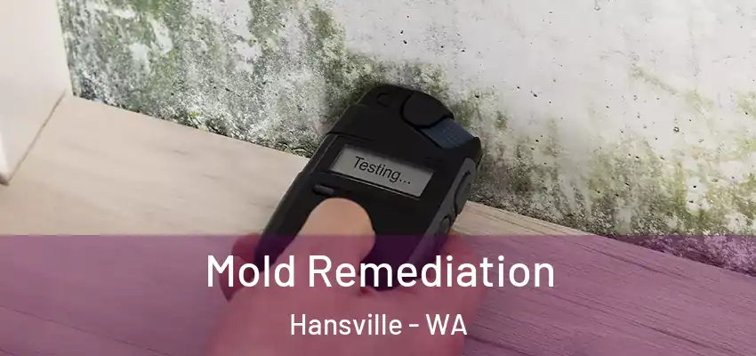  Mold Remediation Hansville - WA
