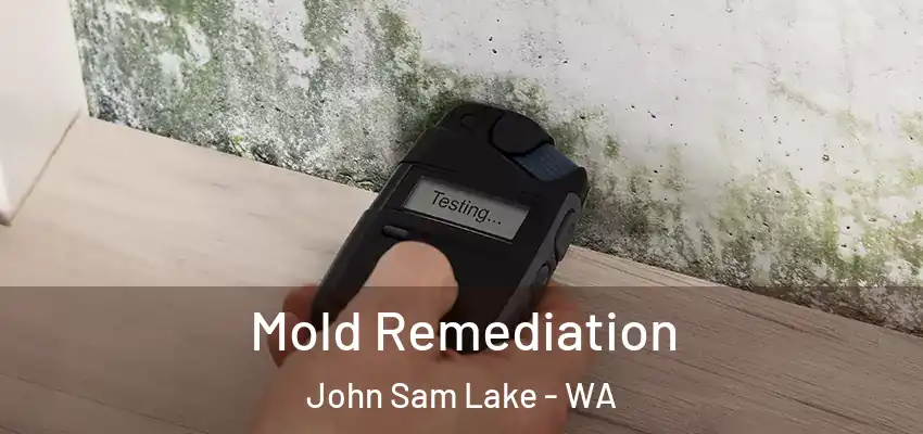  Mold Remediation John Sam Lake - WA