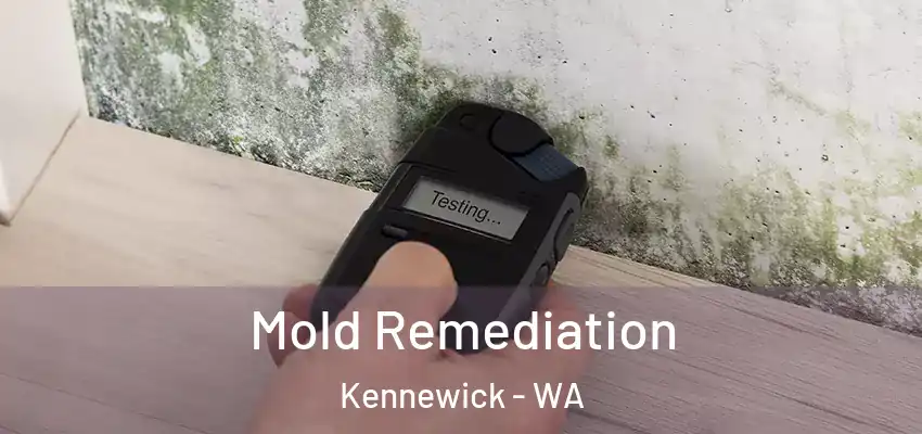  Mold Remediation Kennewick - WA