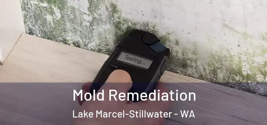  Mold Remediation Lake Marcel-Stillwater - WA
