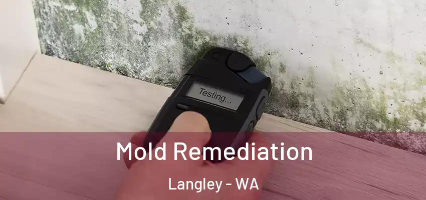  Mold Remediation Langley - WA