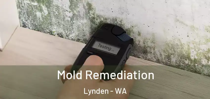 Mold Remediation Lynden - WA