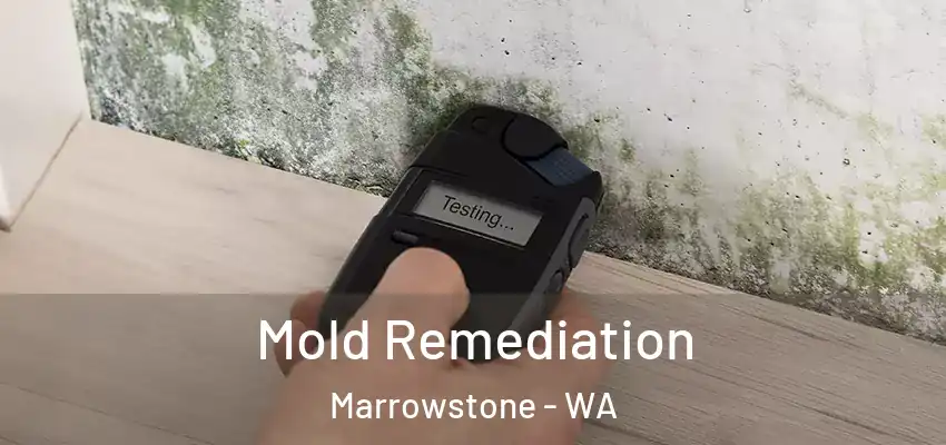  Mold Remediation Marrowstone - WA