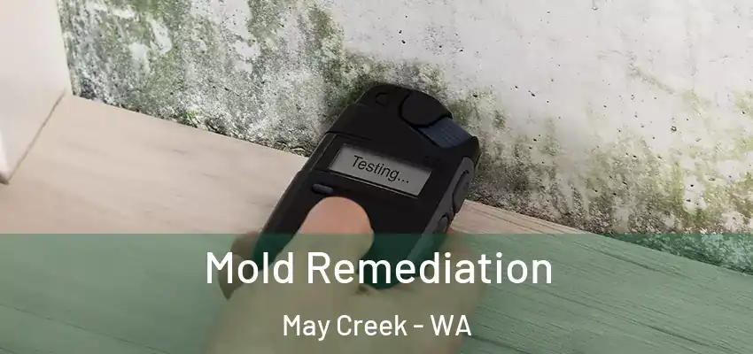  Mold Remediation May Creek - WA
