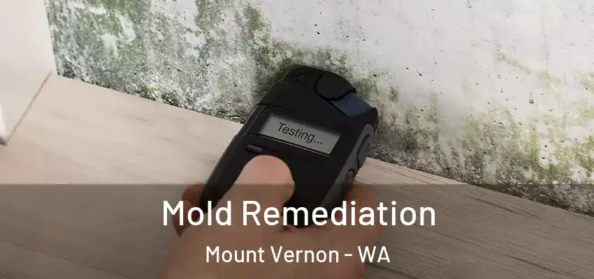Mold Remediation Mount Vernon - WA