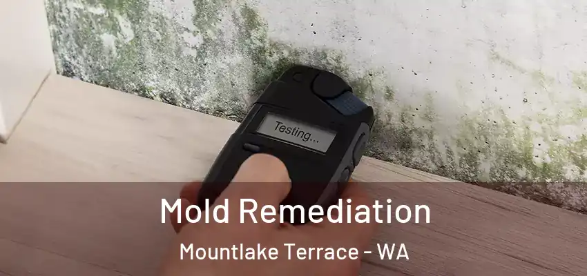  Mold Remediation Mountlake Terrace - WA
