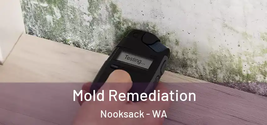  Mold Remediation Nooksack - WA