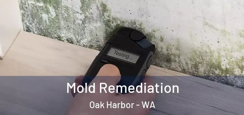 Mold Remediation Oak Harbor - WA