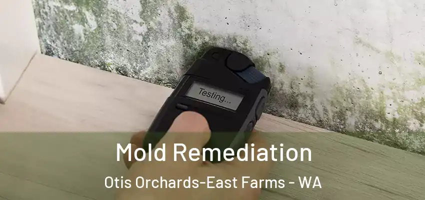 Mold Remediation Otis Orchards-East Farms - WA